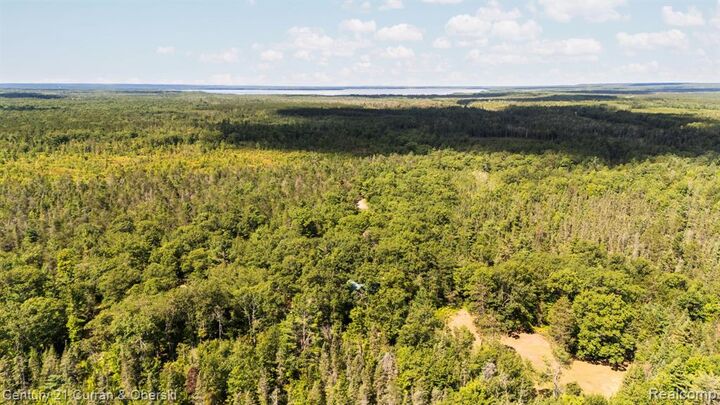 Property Photo:  3265 Roost Road  MI 49765 8673 