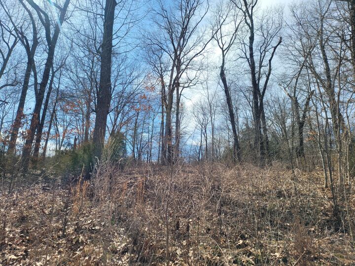 Property Photo: 60 Green Cypress Lane MO 65747