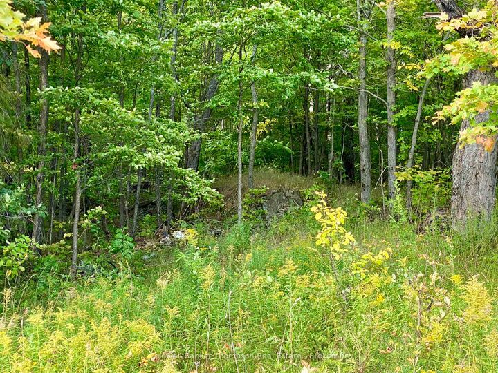 Property Photo:  0 Clear Lake Road N  ON P0H 1A0 