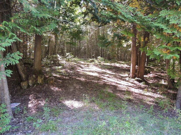 Property Photo:  596244 Concession 10 N/A  ON N0H 1R0 