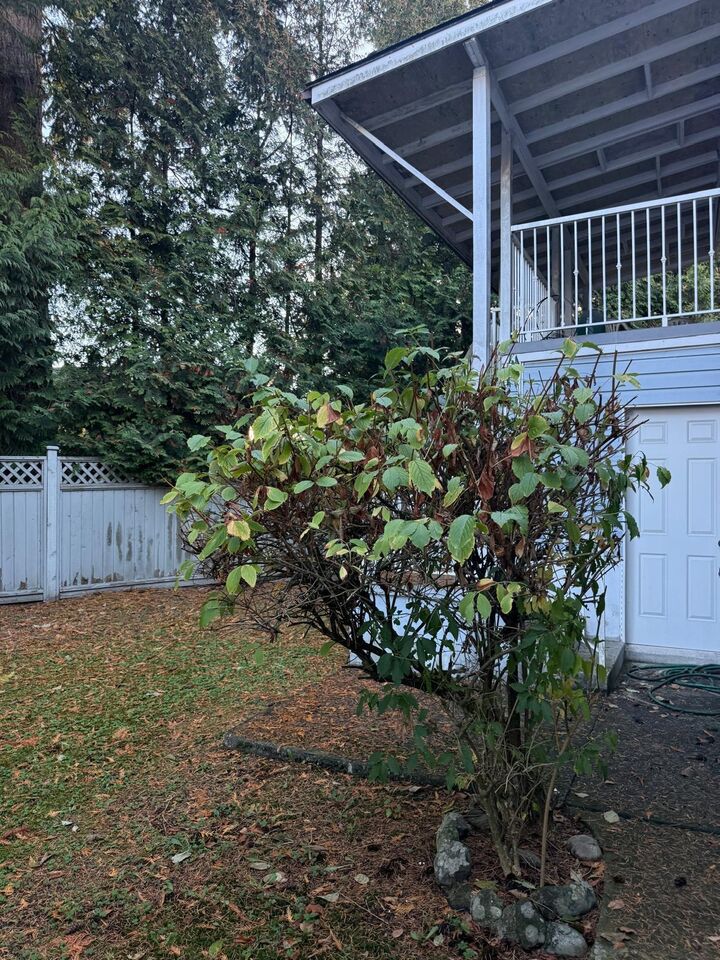 Photo de la propriété: 6738 128B Street BC V3W 7C4