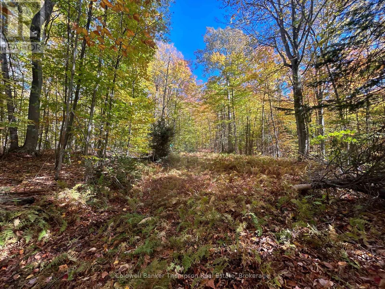 Photo de la propriété:  833 Hamilton Lake Road  ON P0A 1X0 