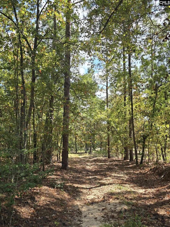 Property Photo:  1646 Baughman  SC 29045 