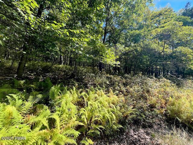 Property Photo: Lot 427 Squirrel Road PA 18328