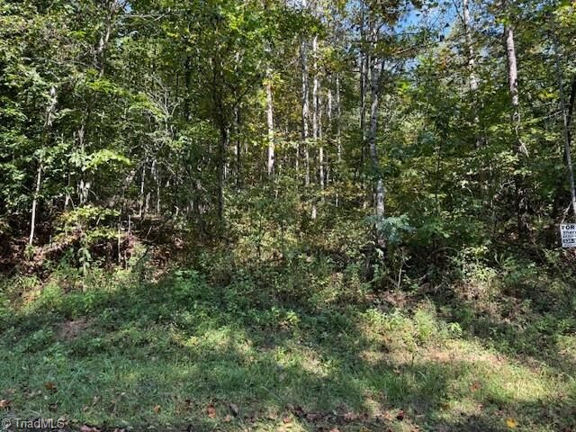Property Photo: 7 Arlie Myers Store Road NC 28649
