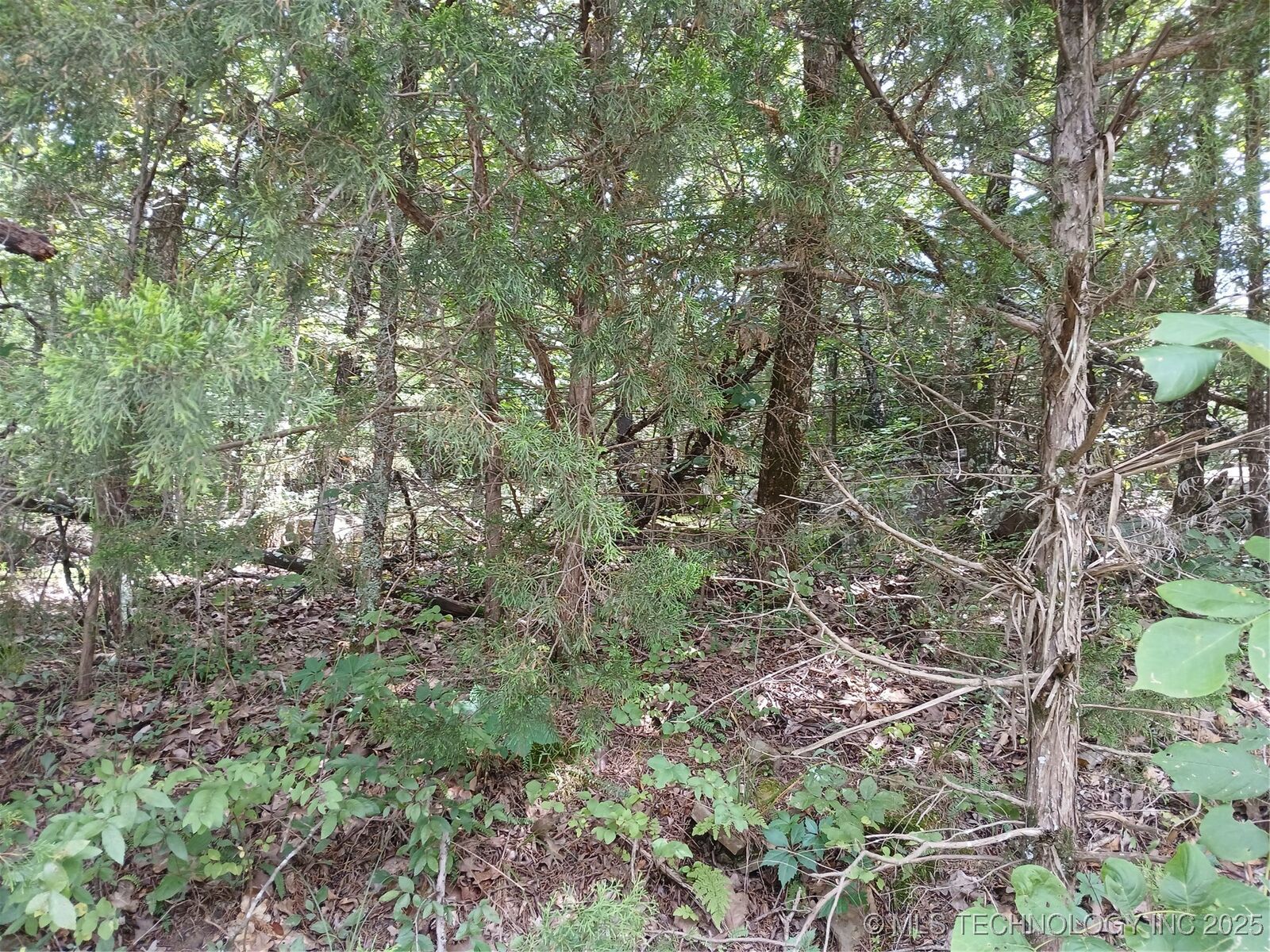 Property Photo: County Road 1170 OK 74432