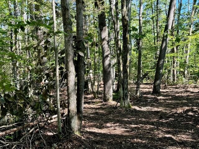 Property Photo:  Parcel A Long Lake Rd  MI 49721 