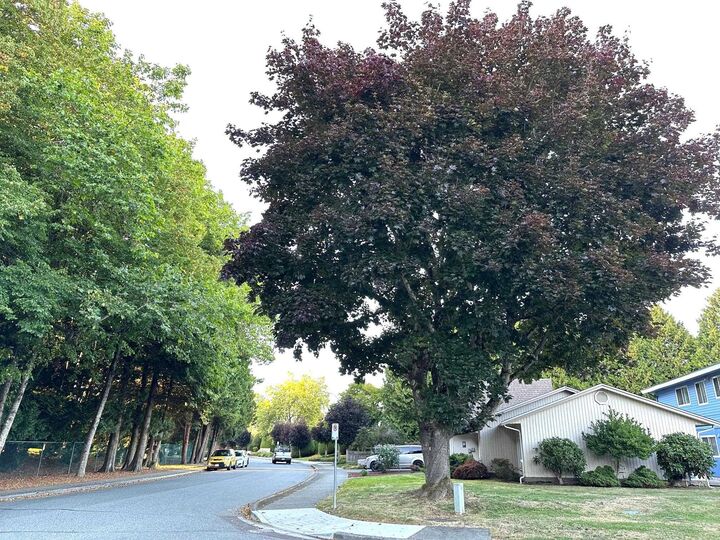 Property Photo:  9360 Parksville Drive  BC V7E 4N9 