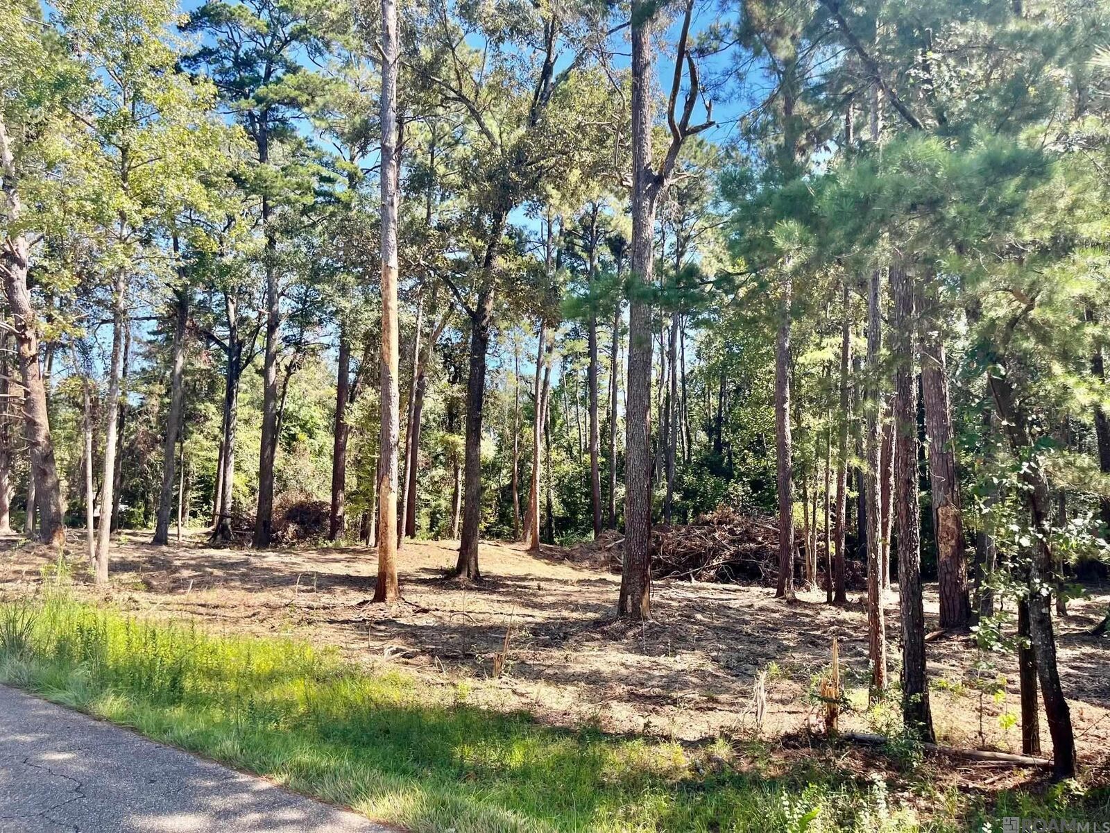 Property Photo: 15902 Chaumont Ave LA 70739