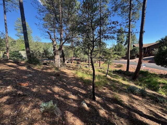 Property Photo: Lot 31 W Sage Ct AZ 85544