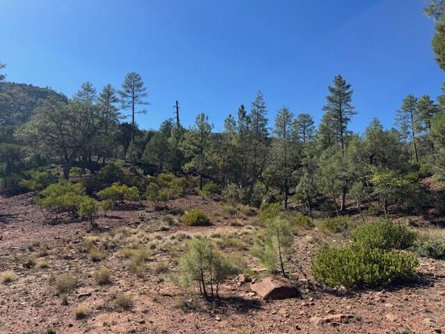 Property Photo:  Lot 31 W Sage Ct  AZ 85544 