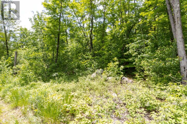 Photo de la propriété:  0 Haliburton Lake Road  ON K0M 1S0