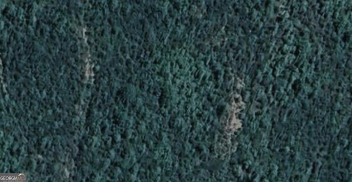 Property Photo: 1765 High Falls Road GA 30223