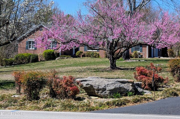 Property Photo:  121 Bailey Rd  TN 37763 