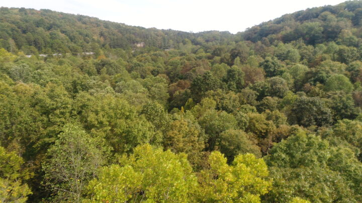 Property Photo:  15001 South Hwy 27  KY 41519 