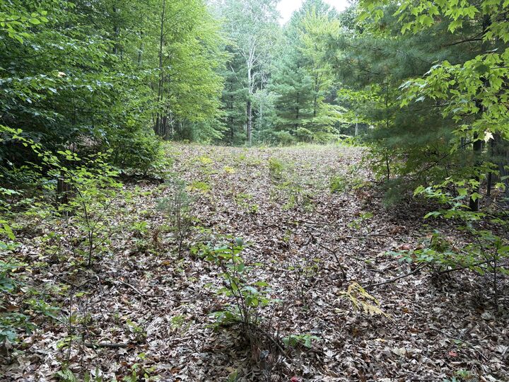 Property Photo: Lot 62, 14th Avenue MI 49436
