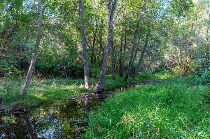Property Photo:  14349 Barn Owl Road  CA 95959 