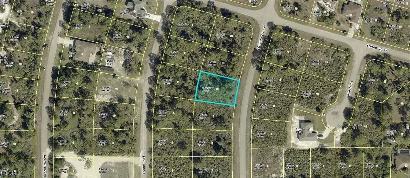 Property Photo: 1254 Burlwood Avenue FL 33913
