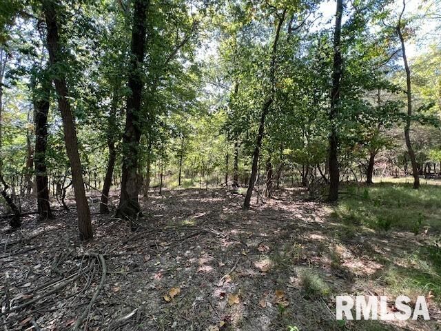 Property Photo:  000 Barnett Street  IL 62918