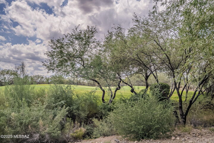Property Photo:  2519 W Music Mountains Drive  AZ 85622 