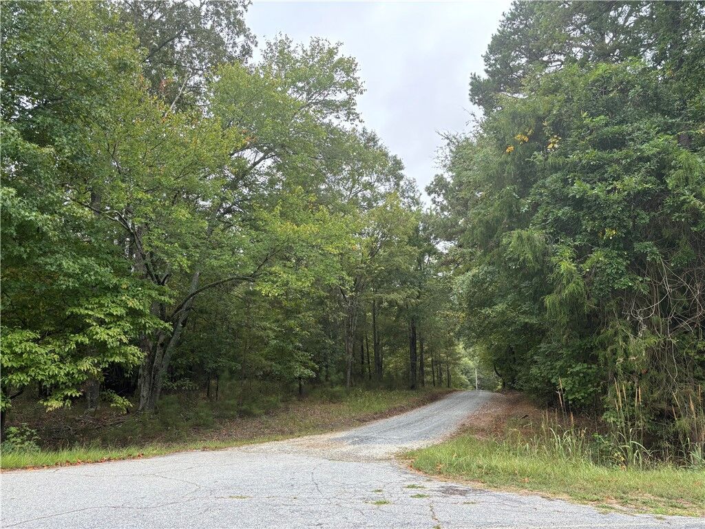 Property Photo: 0 Vineyard Drive SC 29620
