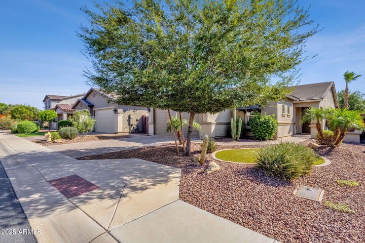 42175 N Wollemi Street  Queen Creek AZ 85140 photo