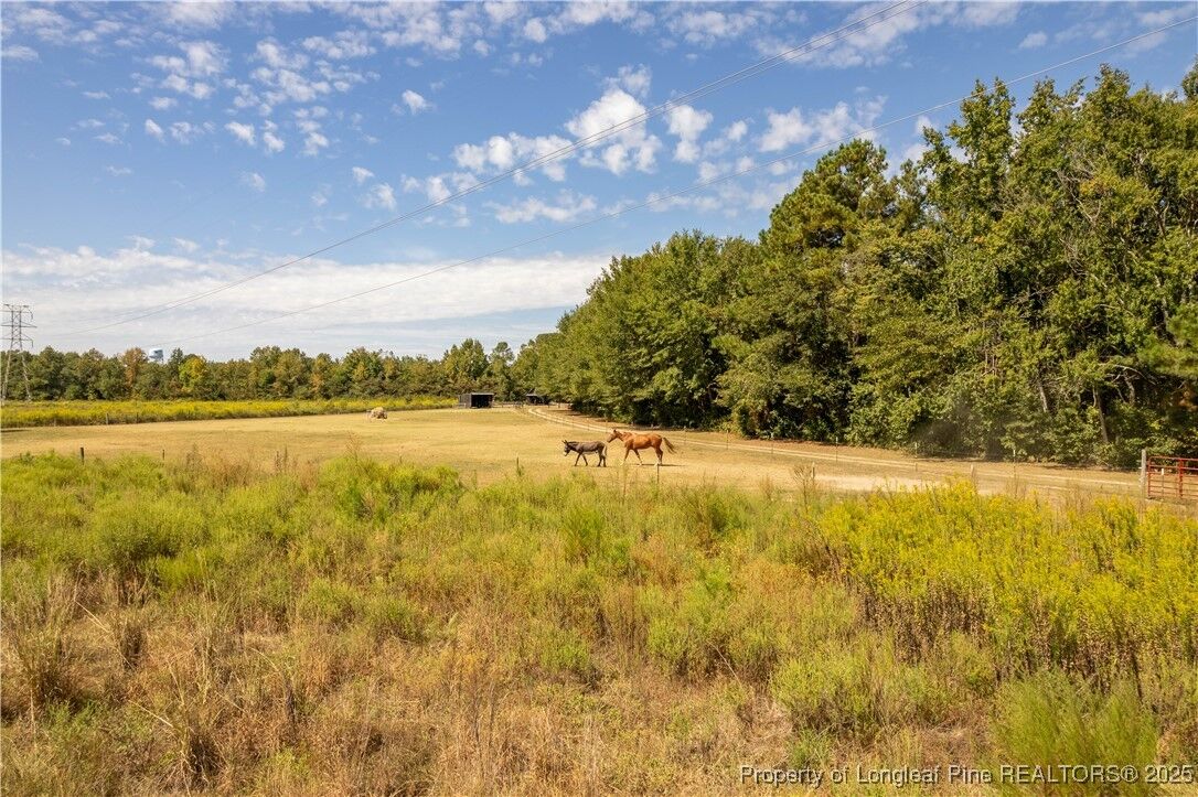 Property Photo: 5000 Arabia Drive NC 28357
