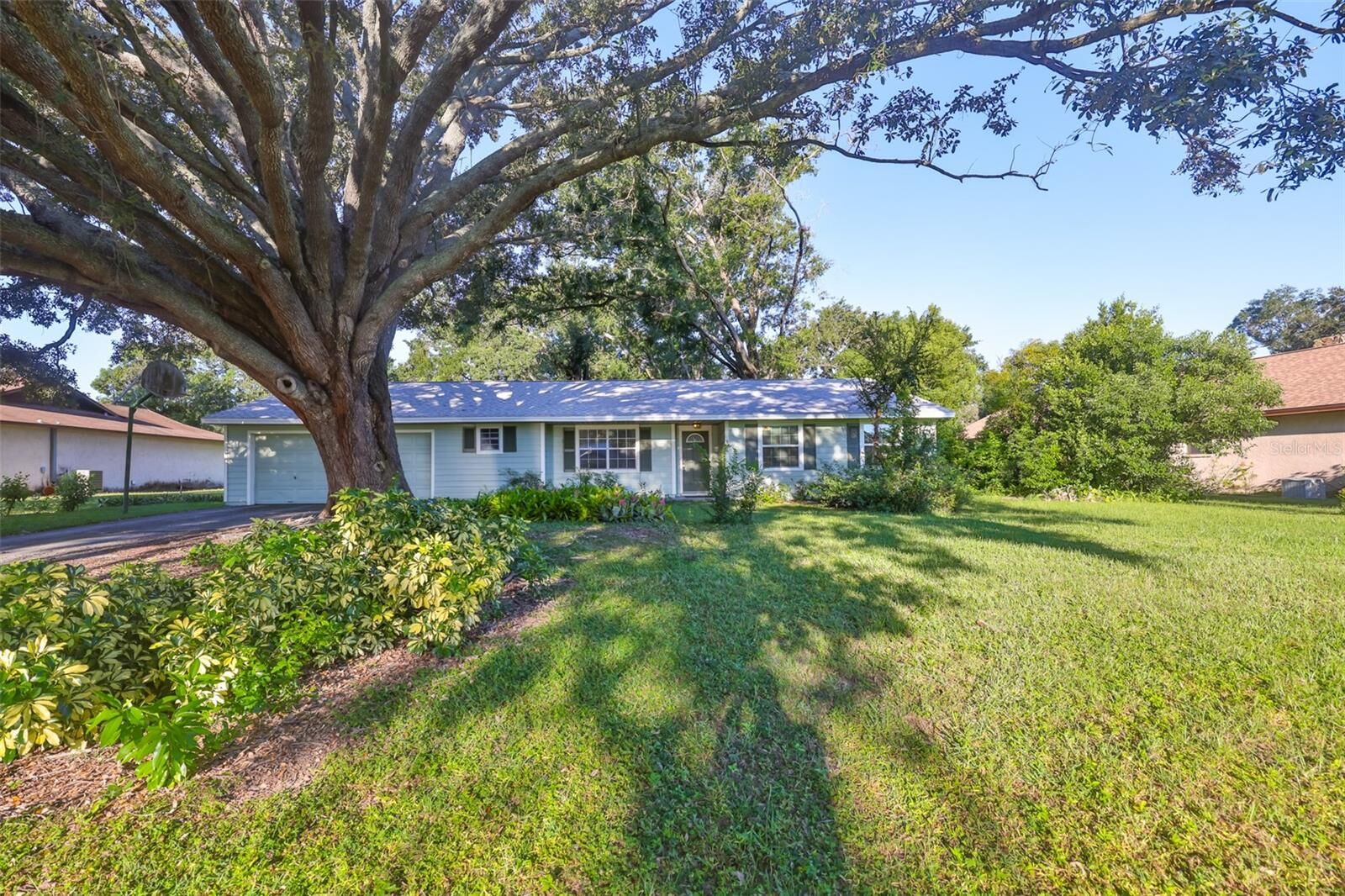 Property Photo: 306 Hollowtree Drive FL 33584