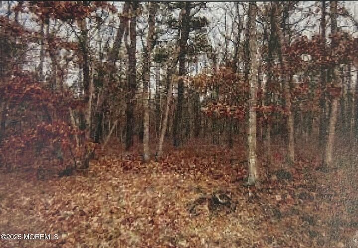 Property Photo: 0 Elsiah Street NJ 08731