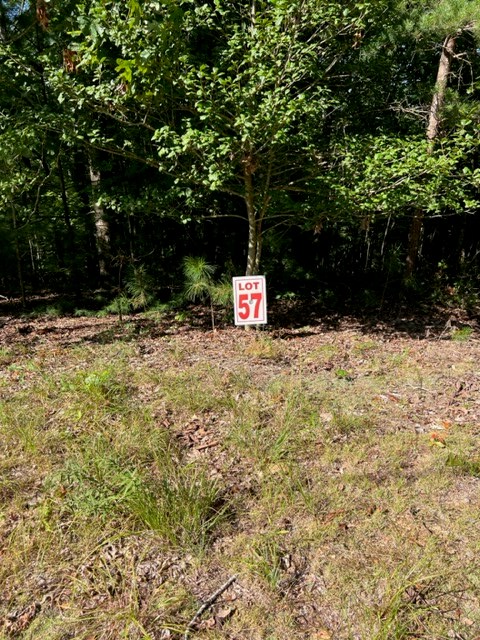 Property Photo:  Lt 57 Honeysuckle Way  GA 30540 