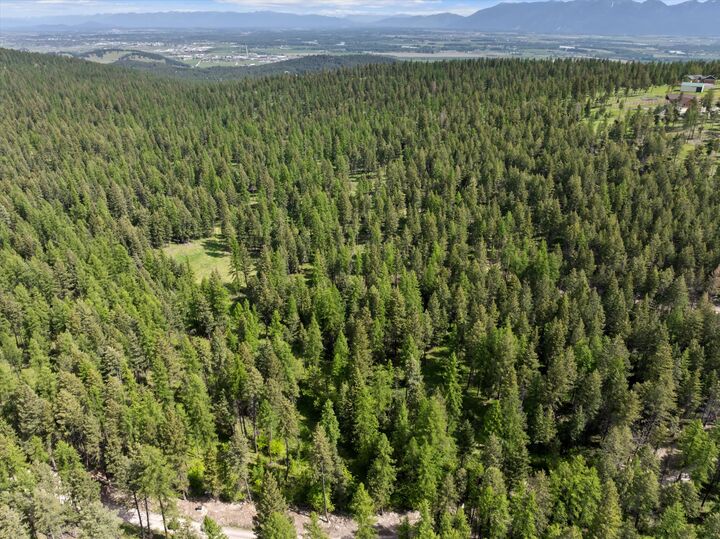 433, 437 & 439 Buffalo Trail  Somers MT 59932 photo