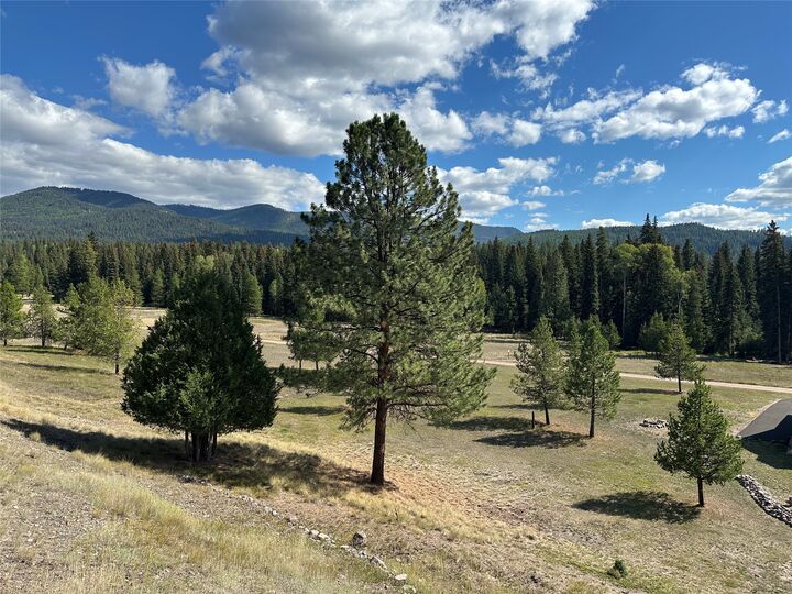 Property Photo:  975 Whitetail Drive  MT 59868 