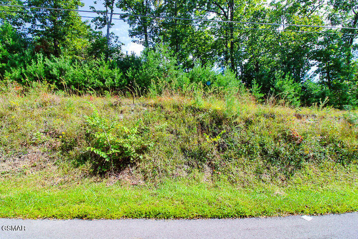 Property Photo: Lot 78 Vixen Run TN 37738