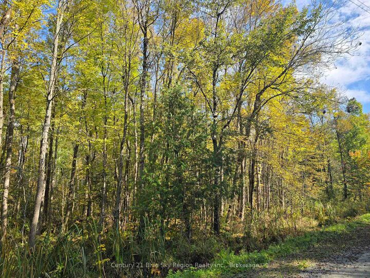 Property Photo:  Lot 5 Con 3 Guillemette Road  ON P0H 2C0 