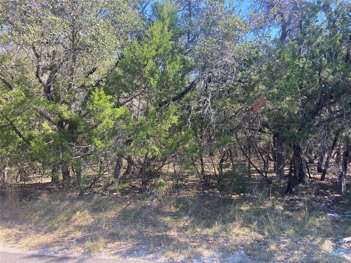Property Photo:  21503 Santa Elena Circle  TX 78645 