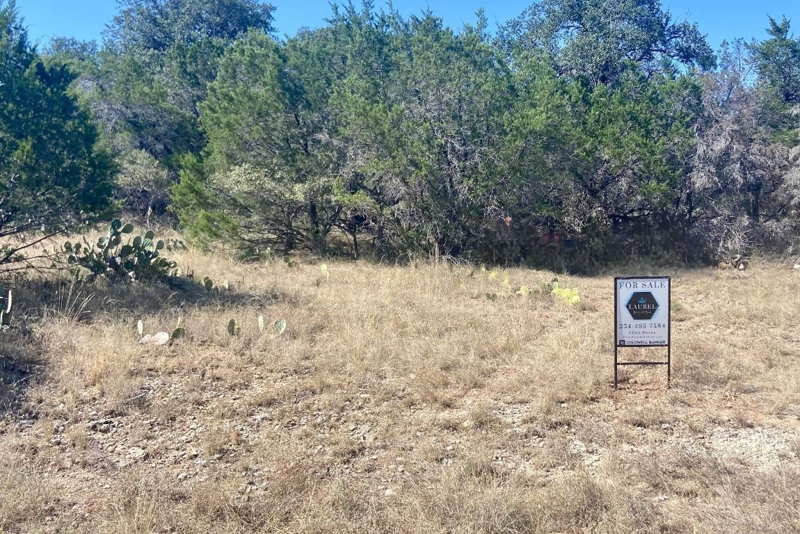 Property Photo:  21504 Santa Elena Circle  TX 78645 