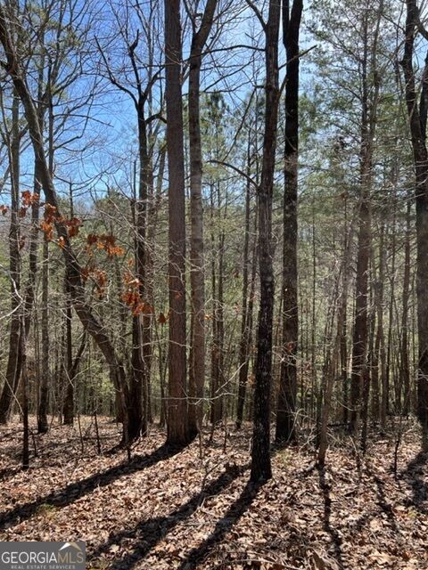 Property Photo:  Lot 4 Hunter Ridge  GA 30540 