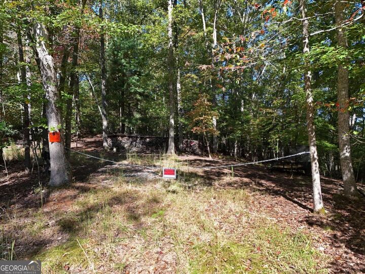 Property Photo: Lt 27/28 Donna Lee Lane GA 30559