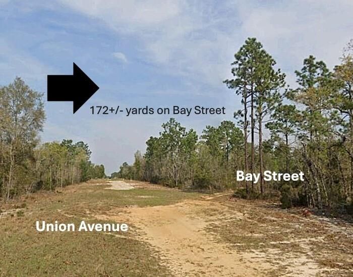 Property Photo: Xx Bay Street FL 32148