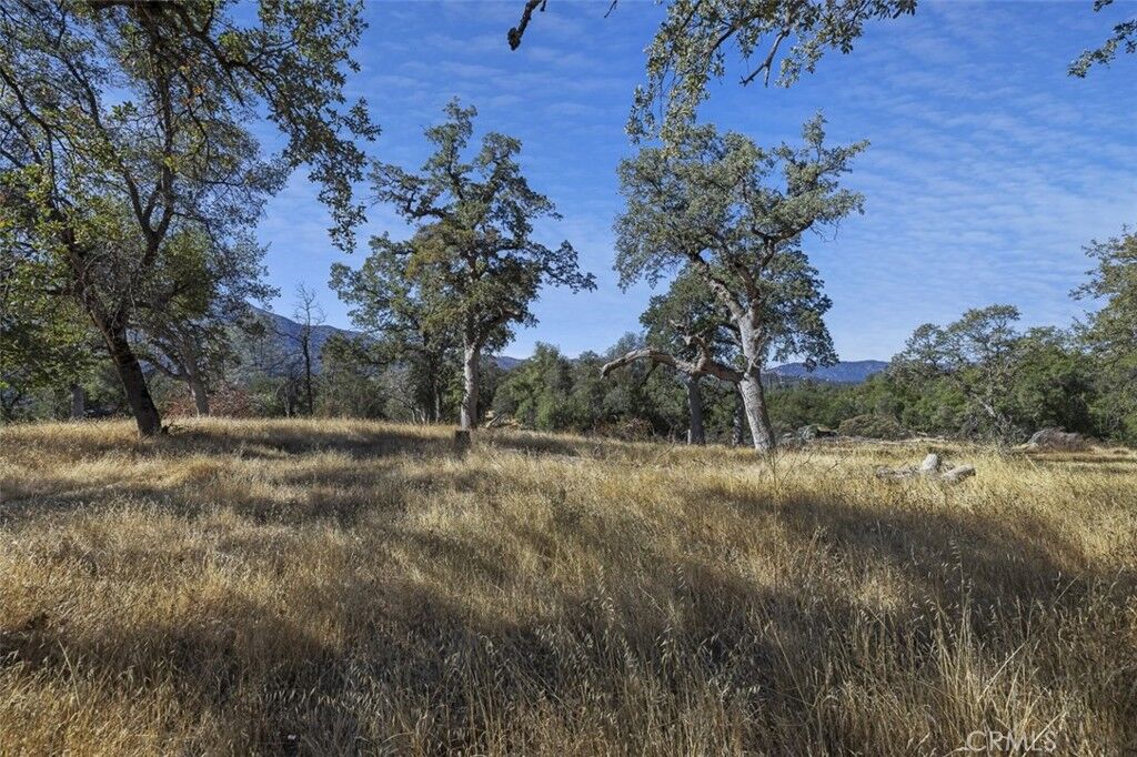 Property Photo:  0 39.29 Ac Village Drive  CA 93644 