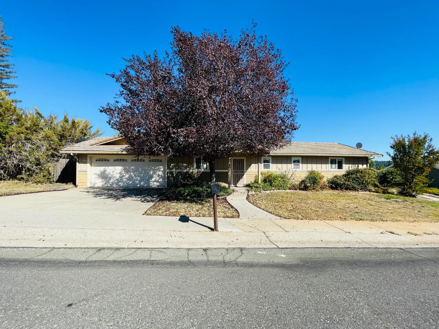 Property Photo: 137 Cypress Hill Drive CA 95945