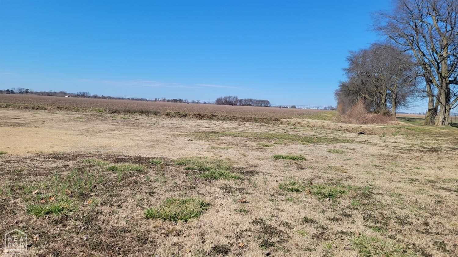 Property Photo: 3 Rosemary AR 72411