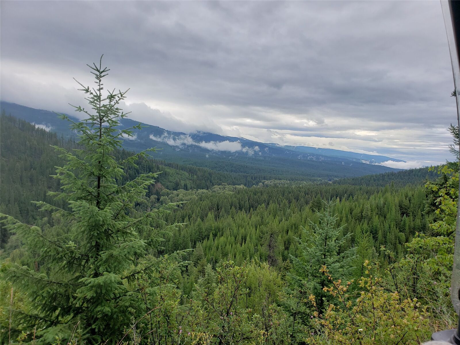 Property Photo:  Lot 14 Nine Mile Road  MT 59846 