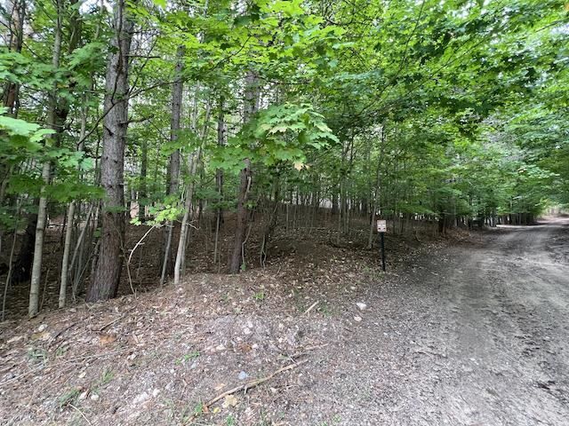 Property Photo:  13-A Cook  MI 49615 