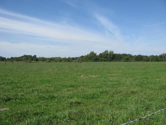 Property Photo:  13531 N Mount Pleasant Road  AR 72736 