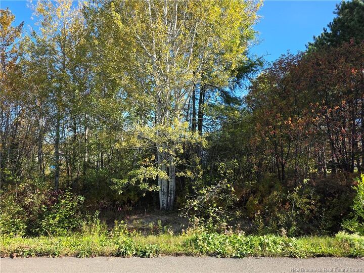 Property Photo:  Lot Mazerolle Street  NB E7E 1L6 
