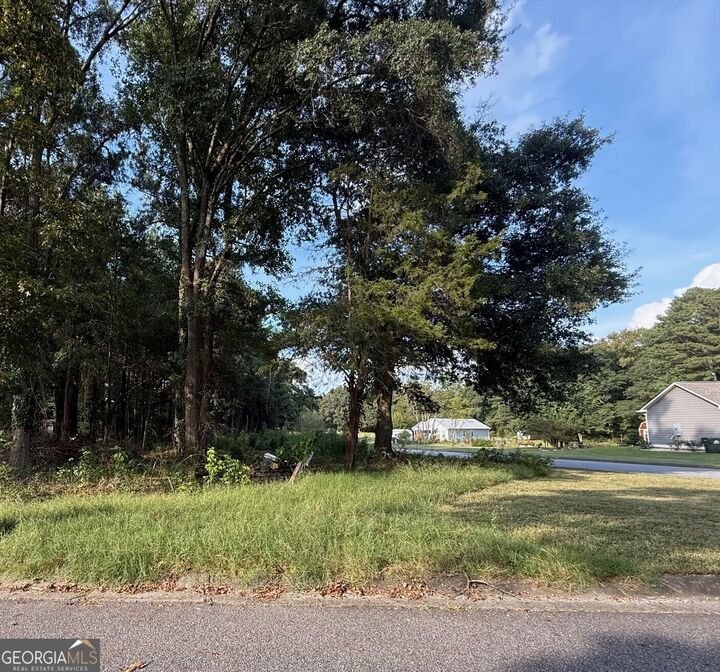 Property Photo:  0 Live Oak Lane Lot 12  GA 30629