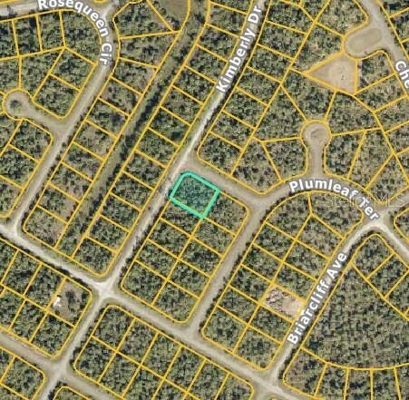 Property Photo: Diels Place FL 34288