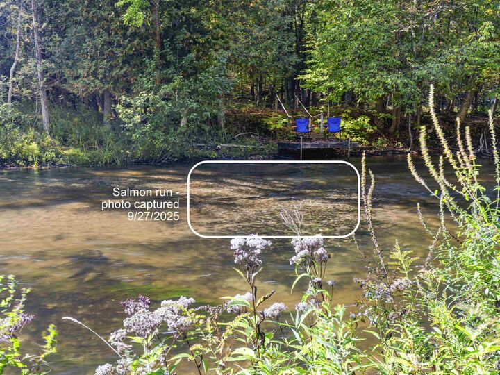 Property Photo: 15111 Holly Drive Lot 194 MI 49683