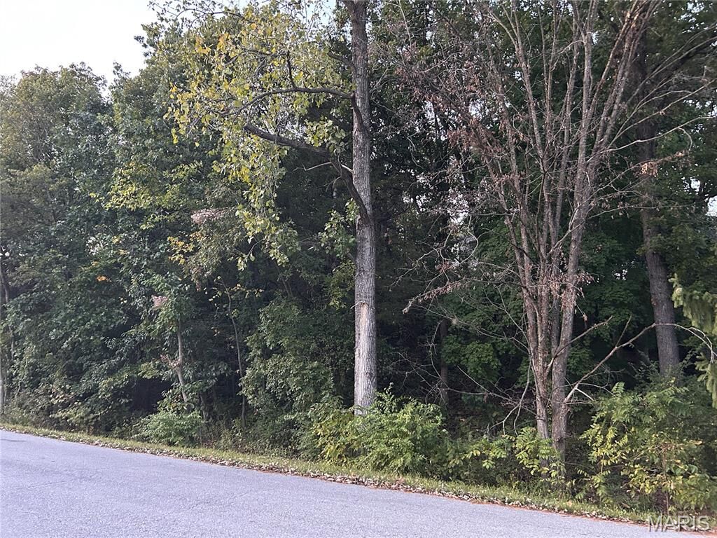 Property Photo:  Lot 556 Village Dr West  MO 63348 